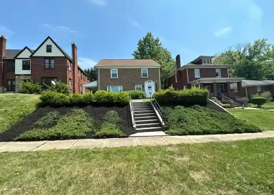 Professional Affordable Landscaping