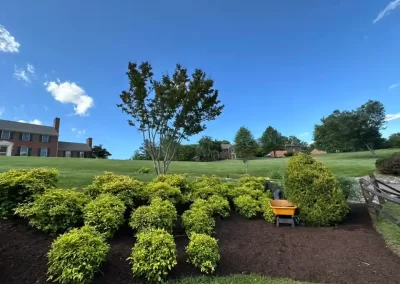 Efficient Affordable Landscaping