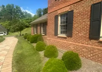 Reliable Affordable Landscaping