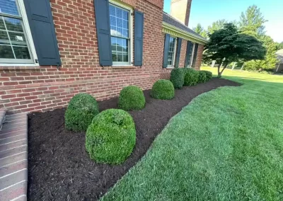 Professional Landscape Contractor