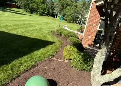 Reliable Landscape Contractor