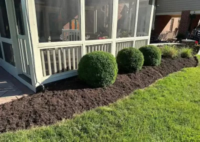 Best Landscape Contractor