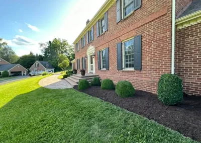 Budget Landscape Contractor
