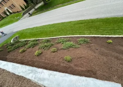 Effective Landscaping Company