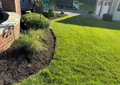 Best Landscaping Company