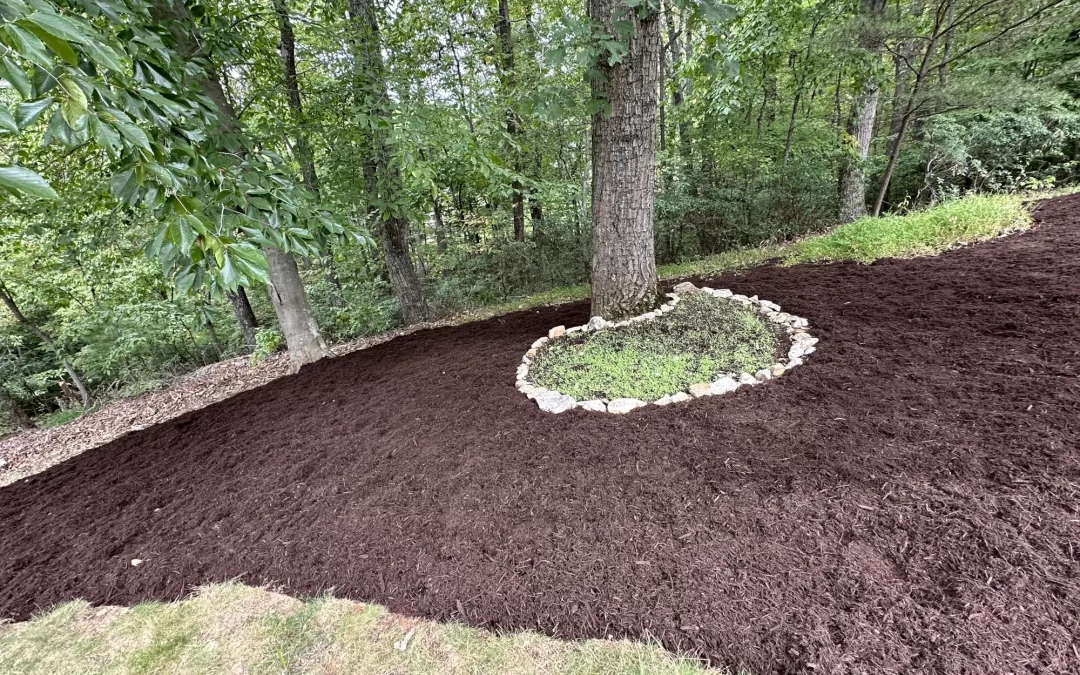 6 Super Tips of Winter Landscaping to Protect Your Yard