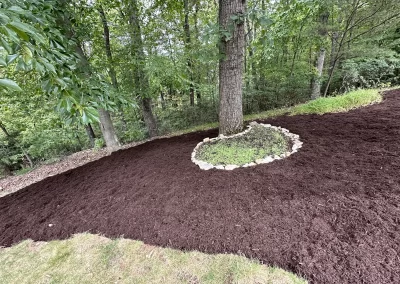 Winter Landscaping