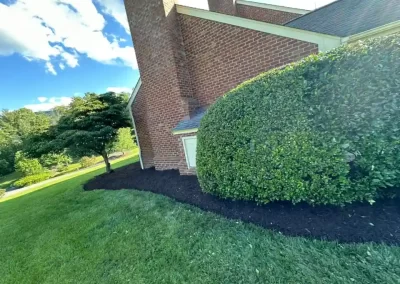 Efficient Landscaping Contractor