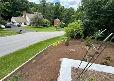 Best Landscaping Contractor