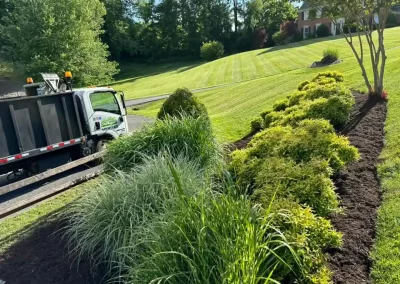 Professional Landscaping Services