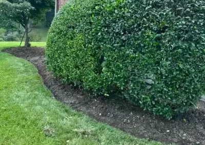 Efficient Landscaping Services
