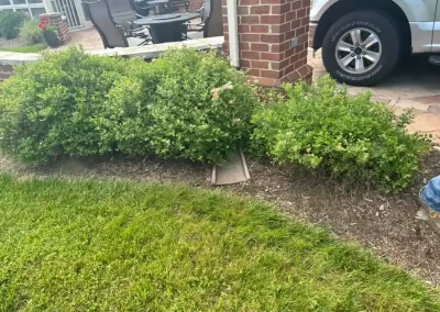 Effective Landscaping Services