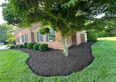 Reliable Landscaping Services