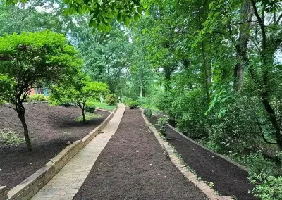 Best Landscaping Services