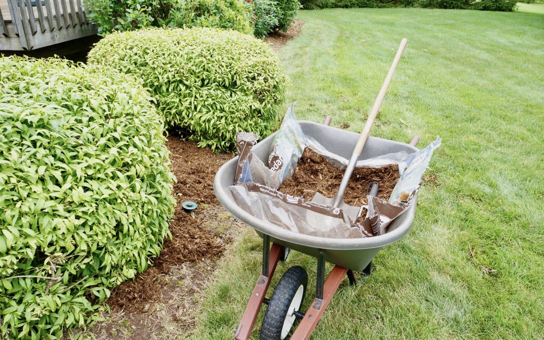Mulching 101: The Application Process