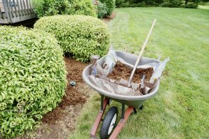 mulching landscape bed in the backyard of a home