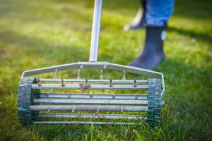 manual aeration and overseeding treatment on lawn