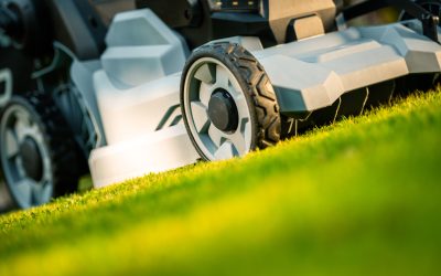 Mowing Your Way To A Beautiful Lawn