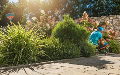 Spring Yard Cleanup: What Your Landscape Needs After Winter