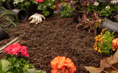 Getting To Know The Best Mulch For Your Landscape