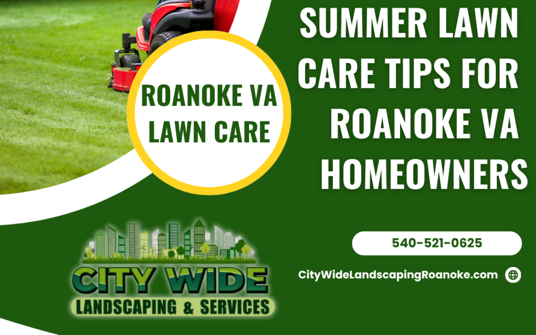 Keeping Your Lawn Healthy In Roanoke’s Blazing Summer Heat