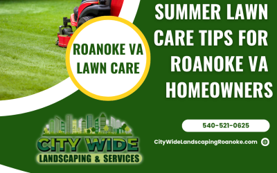 Keeping Your Lawn Healthy In Roanoke’s Blazing Summer Heat