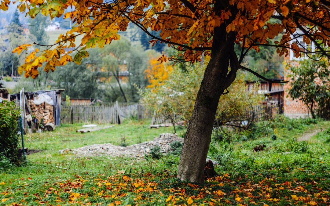 Fall Yard Preparation Tips For Roanoke, VA Homeowners
